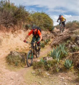 Singletracks Paradise